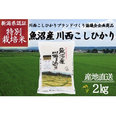 令和4年産 新潟県魚沼産 川西こしひかり 1等米 2kg