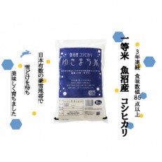 新潟県魚沼産コシヒカリ　令和4年産　　　　　一等米　　ゆきまち米　5kg×2
