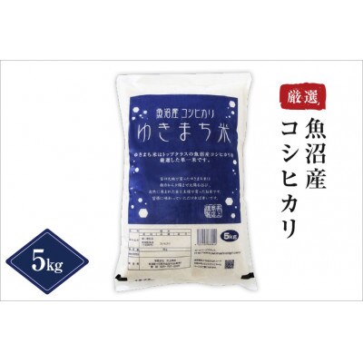 【無洗米】ゆきまち米 5kg　〈厳選された新潟県魚沼産コシヒカリ〉　令和6年産米