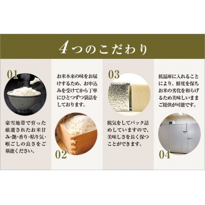 〈厳選された魚沼産コシヒカリ〉【無地熨斗付】【無洗米】おにぎり米2合(300g)×9個ギフトセット　