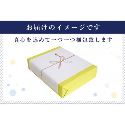 〈厳選された魚沼産コシヒカリ〉【無地熨斗付】【無洗米】おにぎり米2合(300g)×9個ギフトセット　