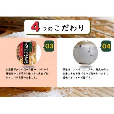 数量限定　従来品種　魚沼産コシヒカリ　万寿　5kg×2袋　令和8年産米