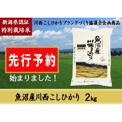 【先行受付　10月上旬発送】新潟県魚沼産　川西こしひかり2kg　令和6年度米