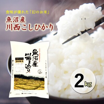 【先行受付　10月下旬発送】新潟県魚沼産　川西こしひかり2kg　令和8年度産米