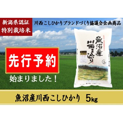 【先行受付　10月上旬発送】新潟県魚沼産　川西こしひかり5kg　令和6年度米