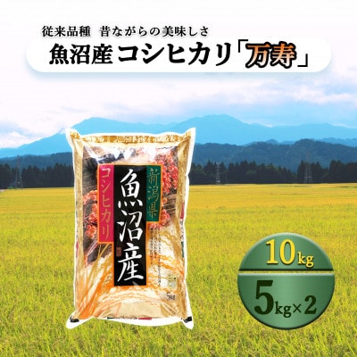 【先行受付10月下旬発送】　従来品種　数量限定　魚沼産コシヒカリ　万寿　5kg×2　令和7年度米