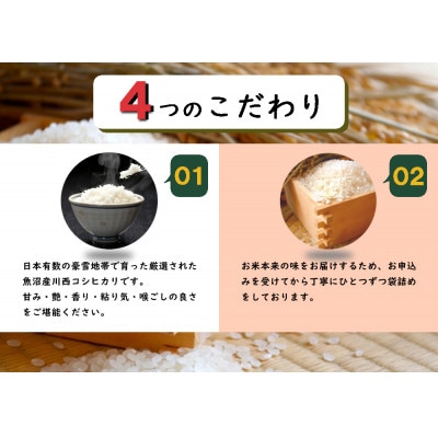【先行受付10月下旬発送】　従来品種　数量限定　魚沼産コシヒカリ　万寿　5kg×2　令和7年度米