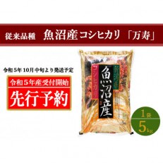 【先行受付】　従来品種　新潟県　魚沼産コシヒカリ　万寿　精米　5kg　令和5年度米