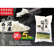 令和5年産【数量限定】【訳あり】　新潟県認証米　新潟県魚沼産 川西こしひかり精米 5kg | ふるさと納税のお礼品