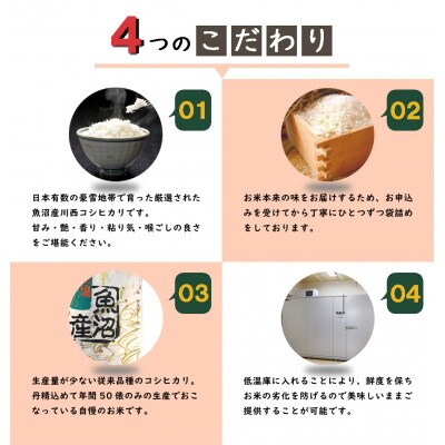 【数量限定】【訳あり】従来品種　魚沼産コシヒカリ　精米　5kg　令和5年産
