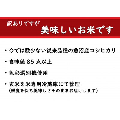【数量限定】【訳あり】従来品種　魚沼産コシヒカリ　精米　5kg×2　令和5年産