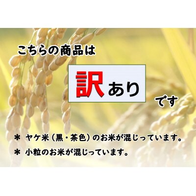 【数量限定】【訳あり】従来品種　魚沼産コシヒカリ　精米　5kg×3　令和5年産