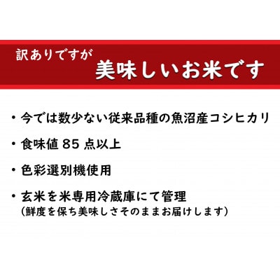 【数量限定】【訳あり】従来品種　魚沼産コシヒカリ　精米　5kg×3　令和5年産