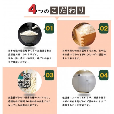 【数量限定】【訳あり】従来品種　魚沼産コシヒカリ　精米　5kg×3　令和5年産