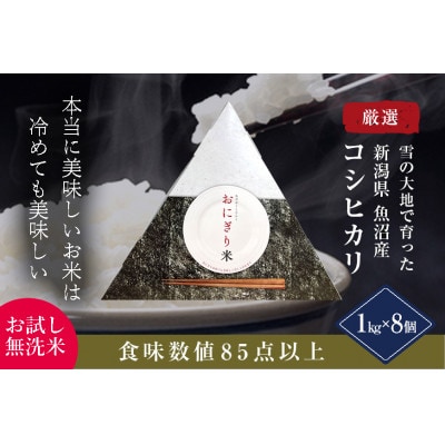 【お試し無洗米】三角おにぎり米 1kg×8個〈厳選された新潟県魚沼産コシヒカリ〉令和6年産米