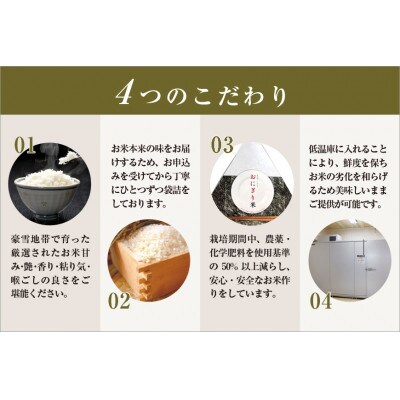 【お試し無洗米】三角おにぎり米 1kg×8個〈厳選された新潟県魚沼産コシヒカリ〉令和6年産米