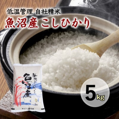 魚沼産コシヒカリ 厳選 低温管理 自社精米 5kg 新潟県