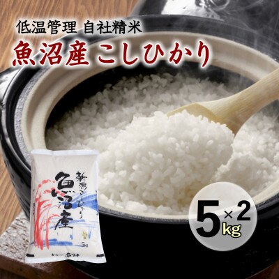 魚沼産コシヒカリ 厳選 低温管理 自社精米 10kg(5kg×2袋) 新潟県