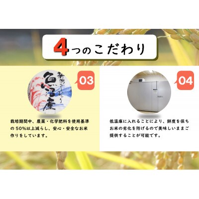 魚沼産コシヒカリ 厳選 低温管理 自社精米 10kg(5kg×2袋) 新潟県