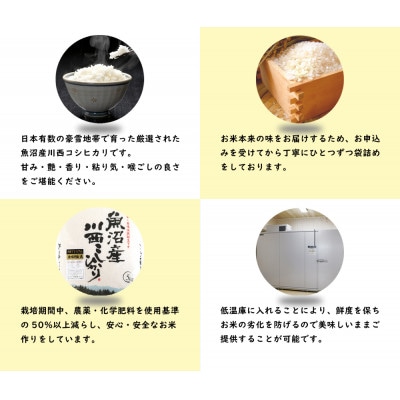 【先行受付　10月下旬～発送予定】新潟県魚沼産　川西こしひかり　精米　1kg×3　令和8年産米