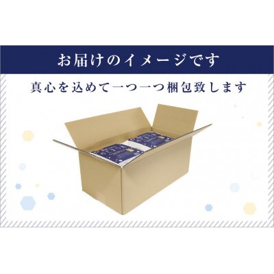 ゆきまち米 10kg(1kg×10)〈厳選された新潟県魚沼産コシヒカリ〉令和8年産米