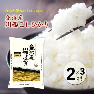 新潟県魚沼産　川西こしひかり　精米　2kg×3　令和8年産米