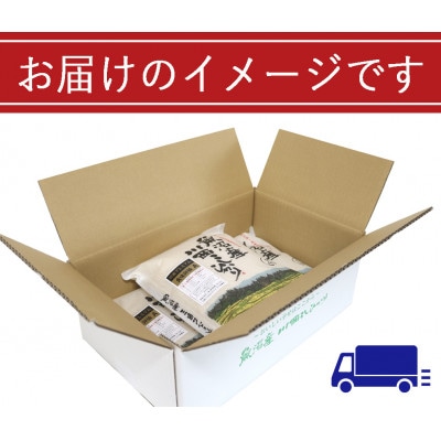 新潟県魚沼産　川西こしひかり　精米　2kg×3　令和8年産米