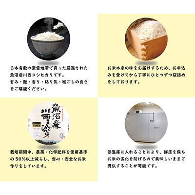 【毎月定期便】	新潟県認証米　魚沼産川西コシヒカリ　2kg　全3回