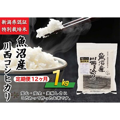 【毎月定期便】新潟県認証米　魚沼産川西こしひかり　1kg　全12回