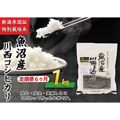 【毎月定期便】新潟県認証米　魚沼産川西こしひかり　1kg　全6回