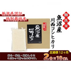 【毎月定期便】【無洗米】新潟県認証米 魚沼産川西こしひかり2合&times;10個 全12回