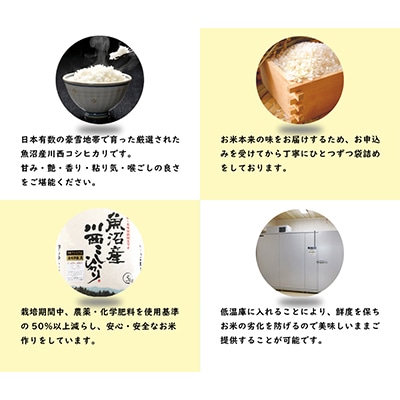 【毎月定期便】【無洗米】新潟県認証米 魚沼産川西こしひかり5kg 全3回