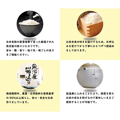 【毎月定期便】【無洗米】新潟県認証米 魚沼産川西こしひかり5kg 全6回