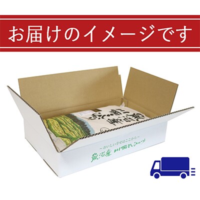 【毎月定期便】【無洗米】新潟県認証米 魚沼産川西こしひかり5kg 全6回