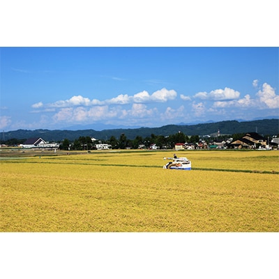 【毎月定期便】【無洗米】新潟県認証米 魚沼産川西こしひかり5kg 全6回