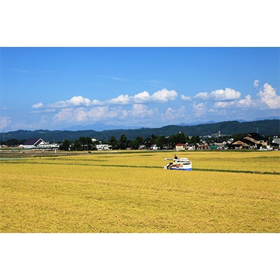 【毎月定期便】【無洗米】新潟県認証米 魚沼産川西こしひかり5kg 全12回