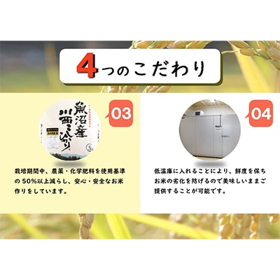 【発送月固定定期便】【先行受付10月上旬より発送】魚沼産川西こしひかり5kg令和6年度米全12回