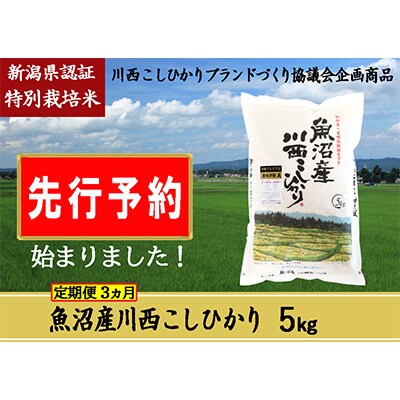 【発送月固定定期便】【先行受付10月上旬より発送】新潟県魚沼産川西こしひかり5kg令和6年度米全3回