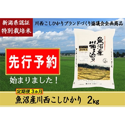 【発送月固定定期便】【先行受付10月上旬より発送】新潟県魚沼産川西こしひかり2kg令和6年度米全3回