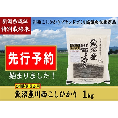 【発送月固定定期便】【先行受付10月上旬より発送】新潟県魚沼産川西こしひかり1kg令和6年度米全3回