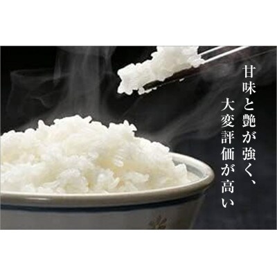 【発送月固定定期便】【先行受付10月上旬より発送】ゆきまち米(精米)1kg 魚沼産コシヒカリ全12回