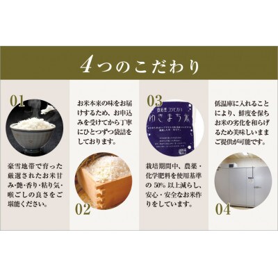 【発送月固定定期便】【先行受付10月上旬より発送】ゆきまち米(精米)5kg 魚沼産コシヒカリ全3回