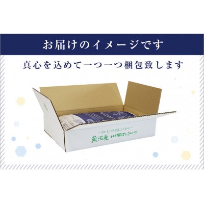 【発送月固定定期便】【先行10月上旬より発送】無洗米 ゆきまち米5kg 厳選魚沼産コシヒカリ全12回