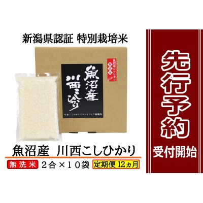 【発送月固定定期便】【先行10月上旬より発送】【無洗米】認証魚沼産川西こしひかり2合×10全12回