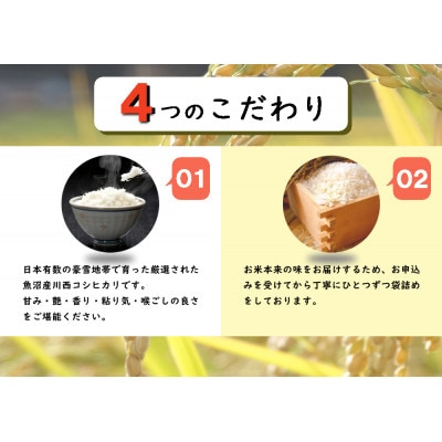 【発送月固定定期便】【先行10月上旬より発送】【無洗米】認証米魚沼産川西こしひかり2合×30全3回