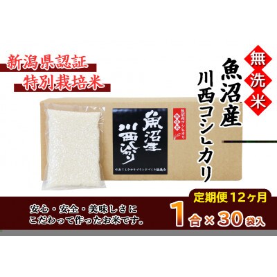 【発送月固定定期便】【10月上旬より発送】【無洗米】認証魚沼産川西こしひかり1合×30個全12回