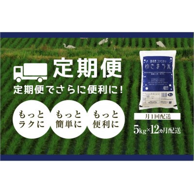 【毎月定期便】【無洗米】ゆきまち米 5kg〈厳選された新潟県魚沼産コシヒカリ〉令和6年産米全12回