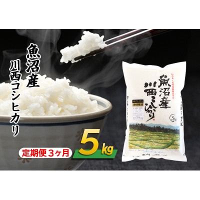 【毎月定期便】新潟県認証米 魚沼産 川西コシヒカリ 精米 5kg全3回
