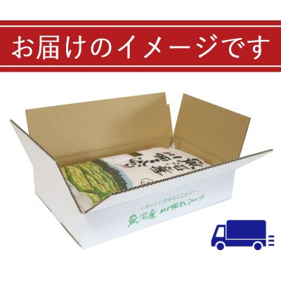 【毎月定期便】新潟県認証米 魚沼産 川西コシヒカリ 精米 5kg全3回