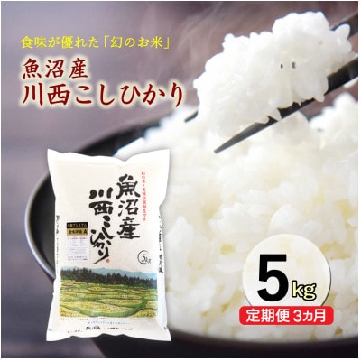 【発送月固定定期便】【先行受付10月下旬より発送】魚沼産川西コシヒカリ 5kg全3回